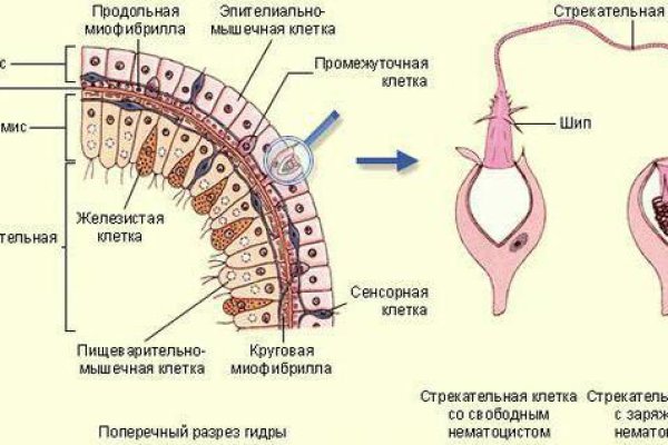 Кракен наркошоп сайт