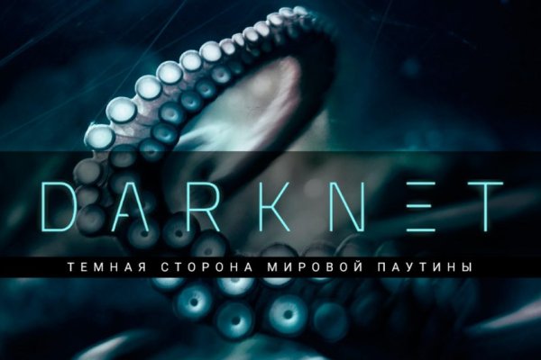 Kraken dark net