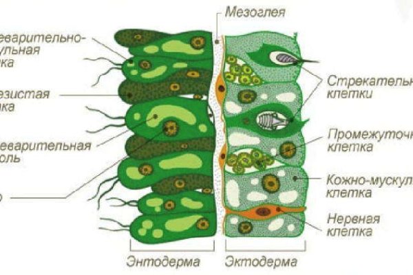 Кракен запрещенные вещества